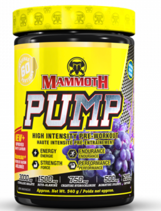 Mammoth Pump 60S