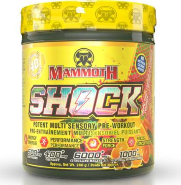 Mammoth Shock 40S