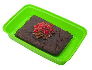 Avocado Brownie w/ Avocado Chocolate Mousse